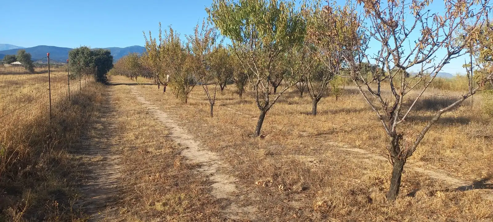 Finca rústica en venta en Cazalegas con Jardín privado