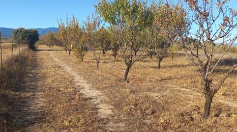 Foto 2 de Finca rústica en venda a Cazalegas, Toledo