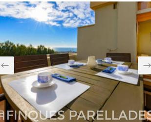 Terrace of Flat to rent in Sant Pere de Ribes  with Air Conditioner, Heating and Private garden