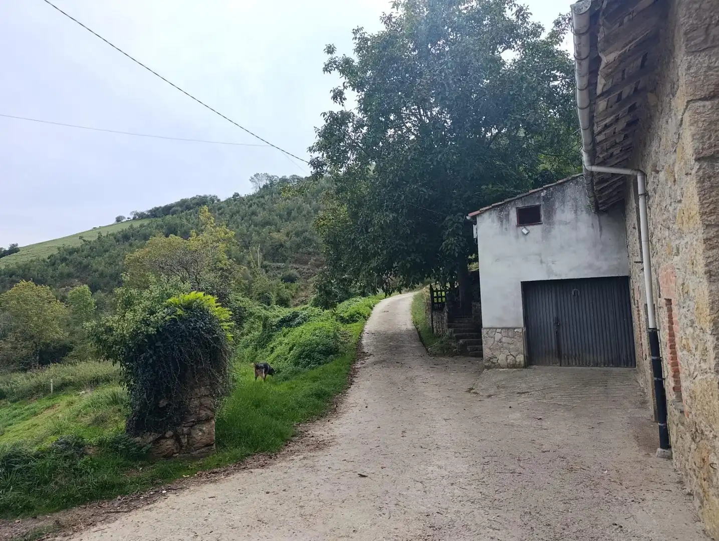 Rustikales Grundstück zum Verkauf in Carretera Piñera (Noriega) 0, imagen 69