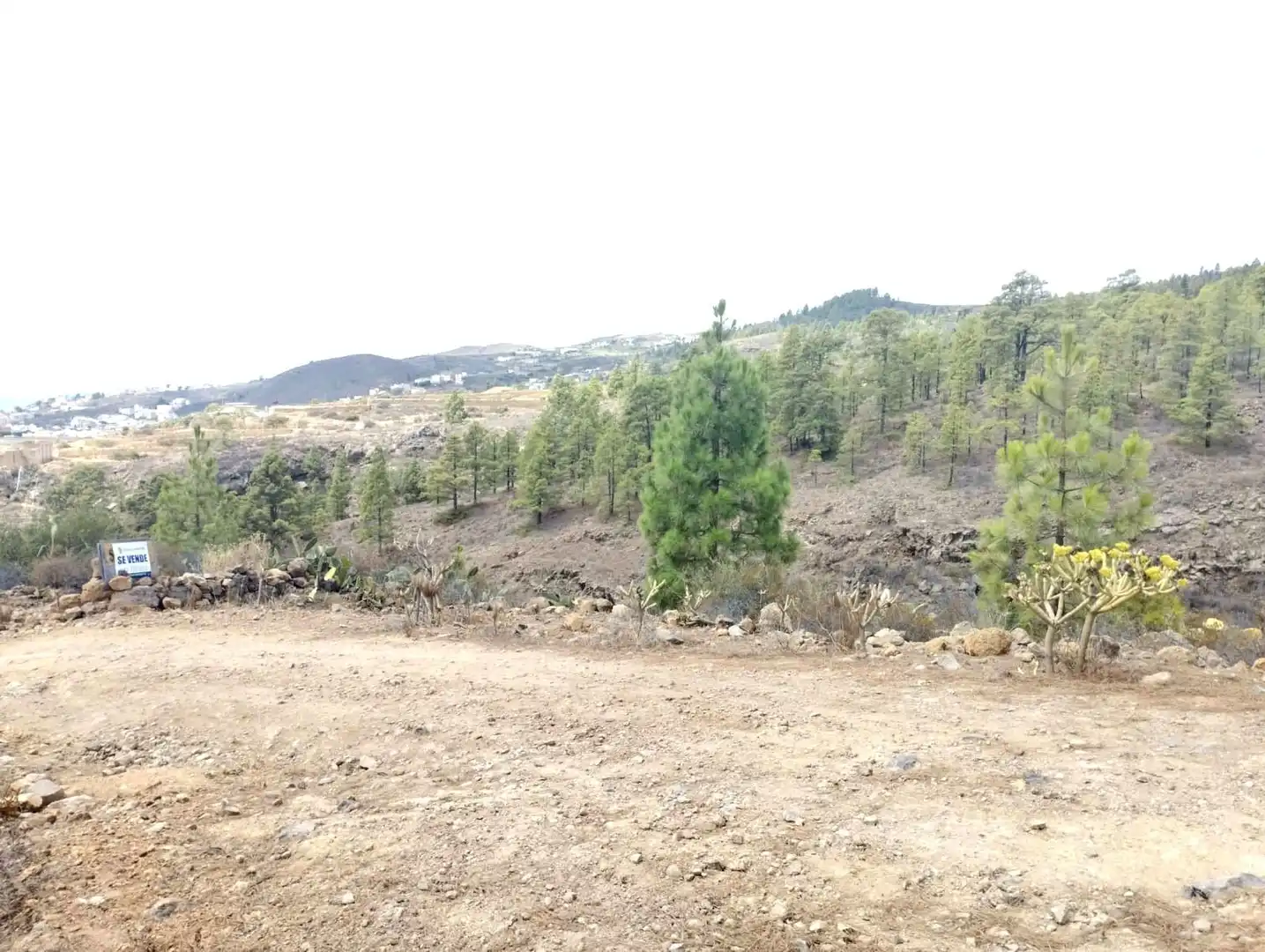 Residencial en venta en Granadilla de Abona