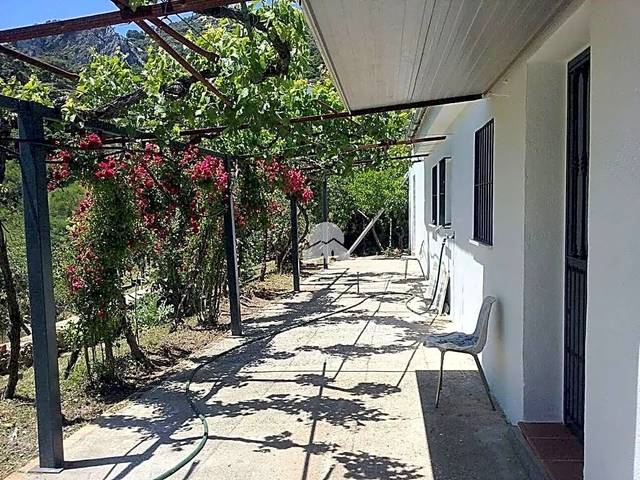 Finca rústica en Venta en Benalauría