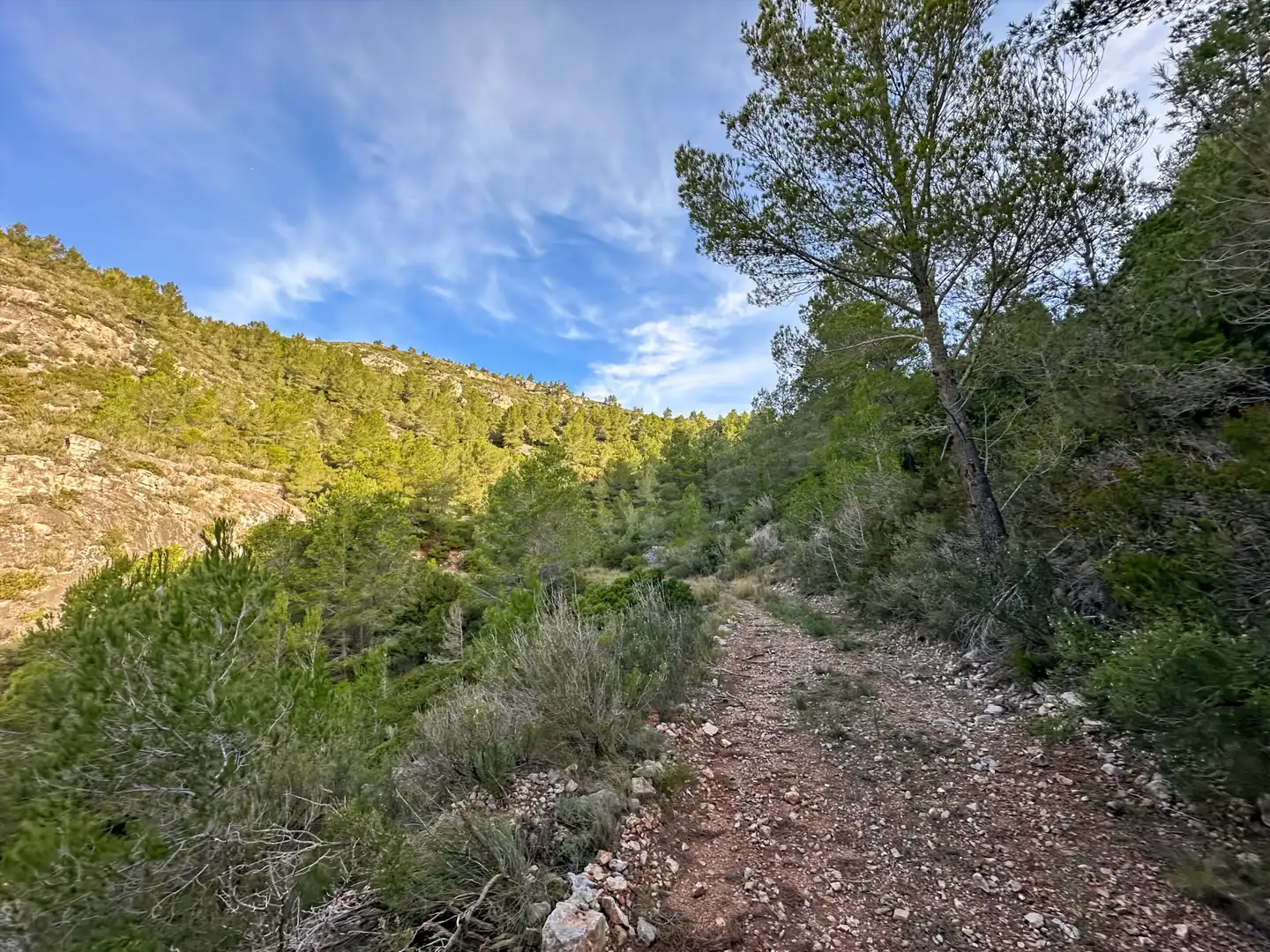 Terrenys i solars en venda a Pratdip, imagen 11