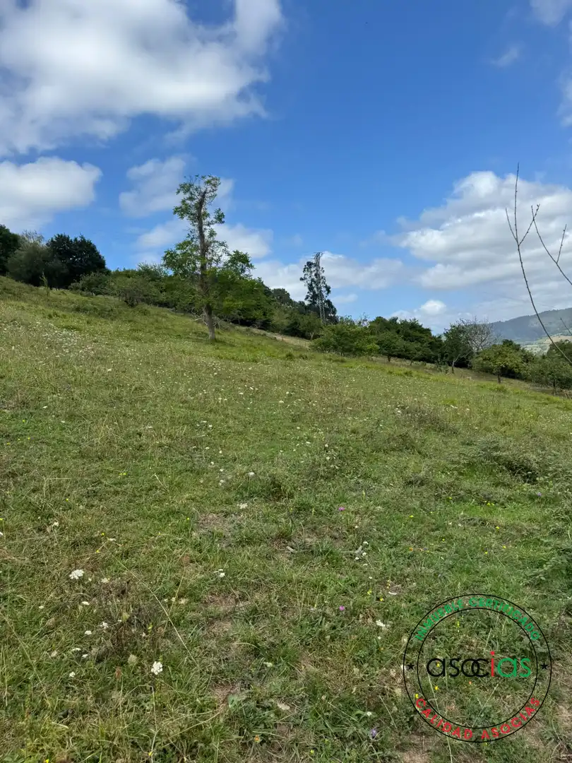 Terreny en venda en Villaviciosa