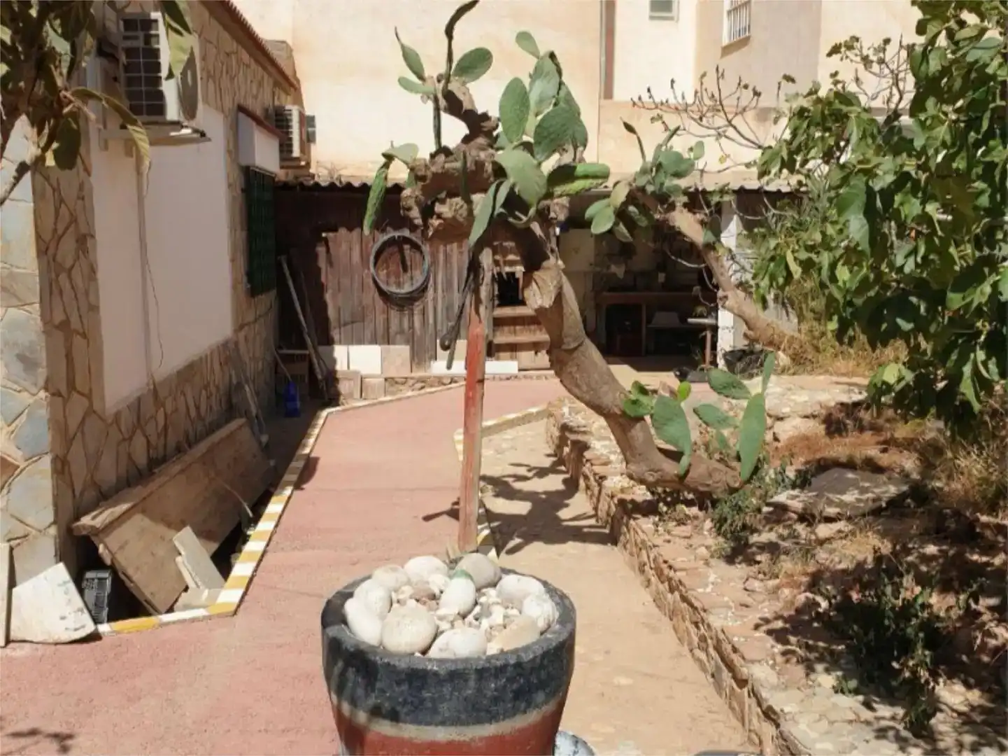 Garden of Flat for sale in El Ejido  with Air Conditioner, Private garden and Storage room
