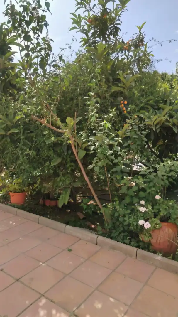 Garden of Houses for sale in Argentona  with Air Conditioner, Heating and Private garden