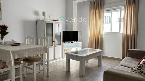 Dos apartamentos y un estudio en Conil, immagine 3