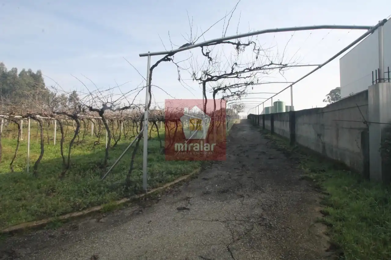 Terreny residencial en venda a Salvaterra de Miño, imagen 6