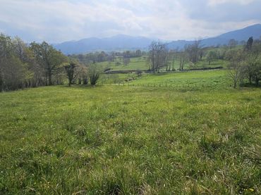 Lands and plots for sale in Nava