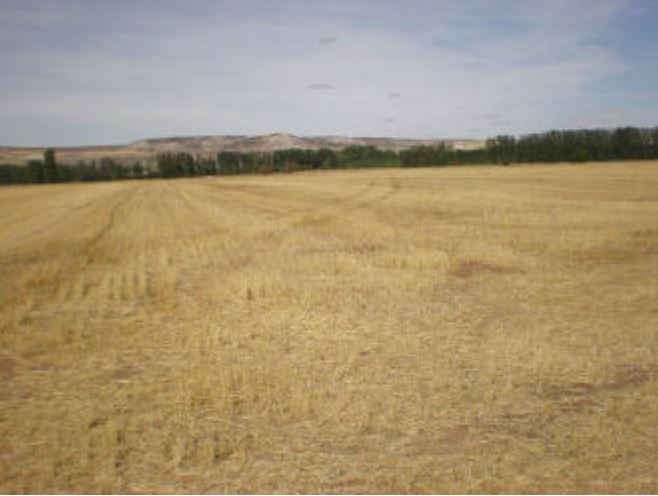 Residential for sale in Palenzuela