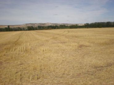 Terreni e lotti in vendita a Palenzuela