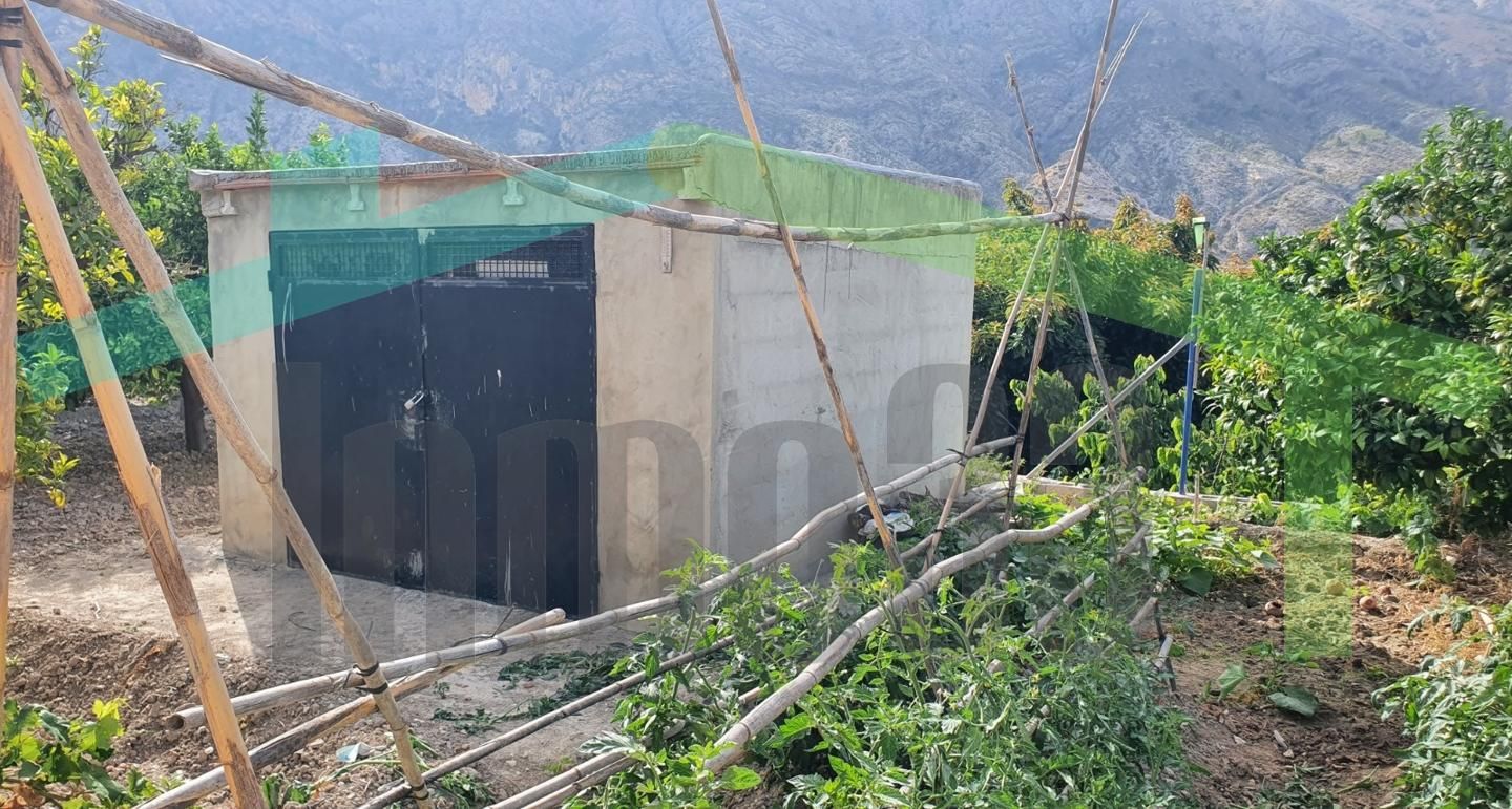 Vista exterior de Finca rústica en venta en Orxeta con Jardín privado