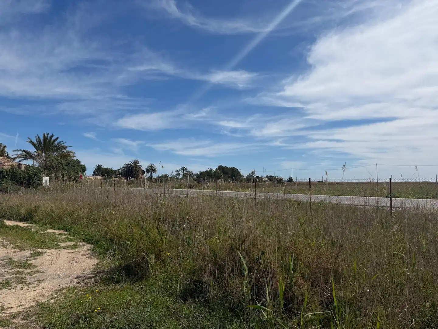 Grundstücke zum Verkauf in Elche / Elx