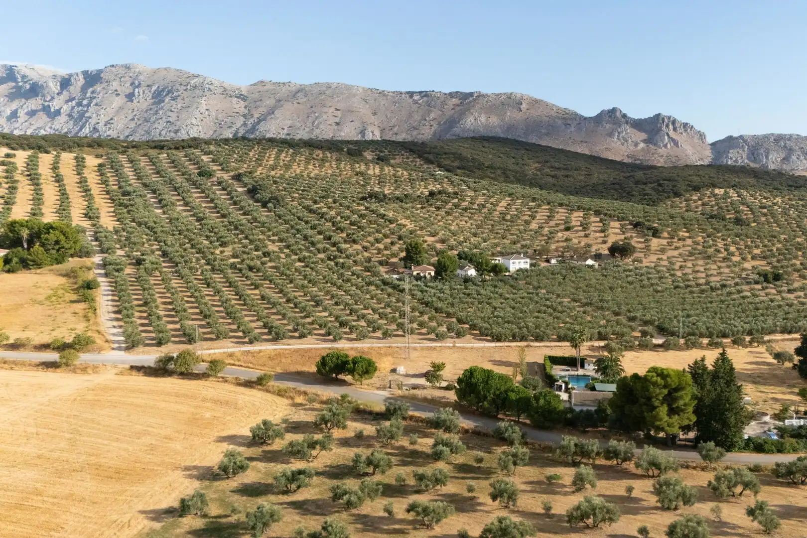 Lands and plots for sale in Bobadilla - Bobadilla Estación - La Joya, imagen 7