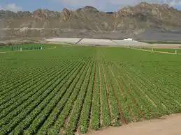 Lands and plots for sale in Mula, imagen 10