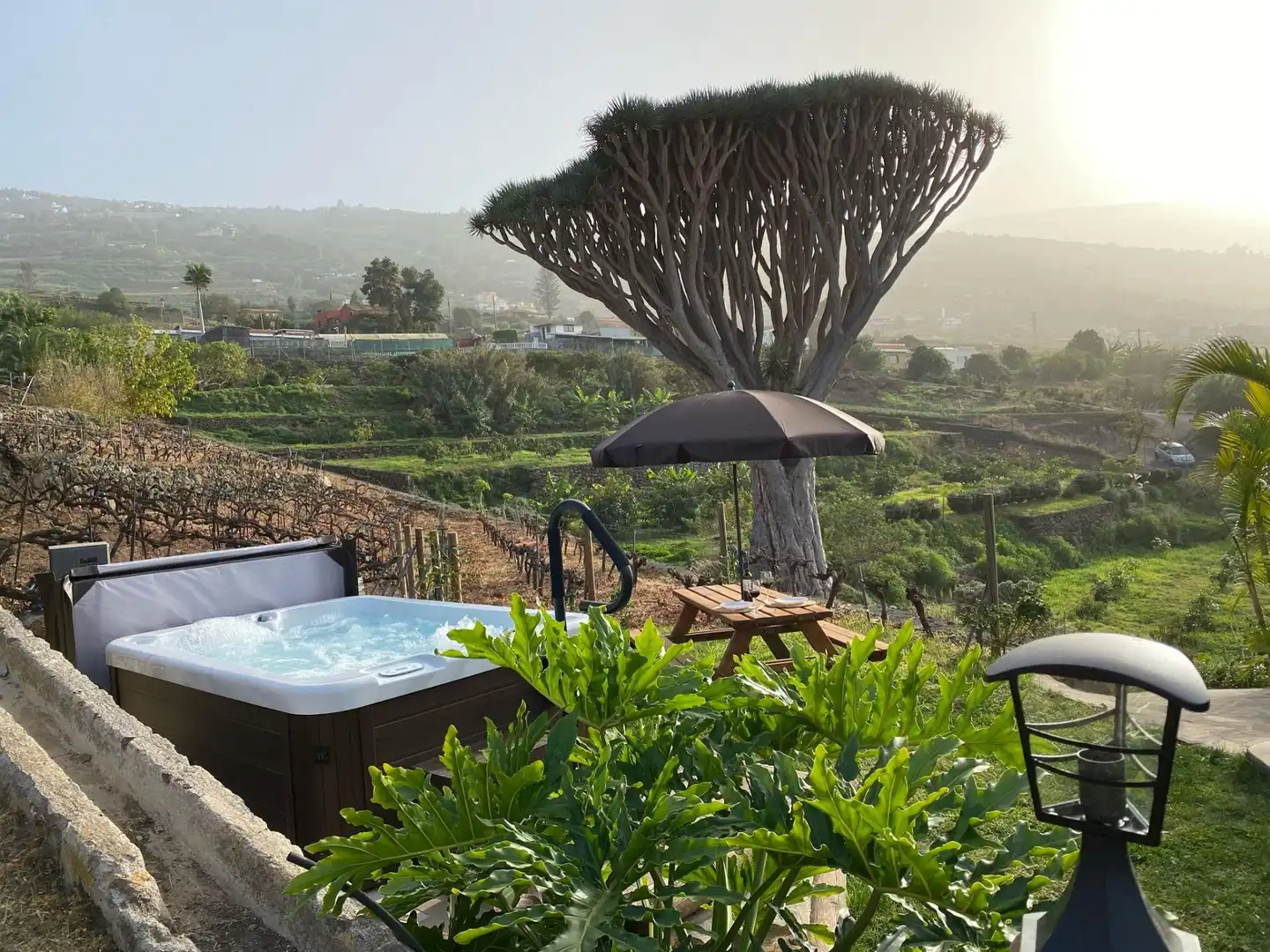 Garten von Country house zum Verkauf in Santa Úrsula mit Privatgarten, Terrasse und Schwimmbad