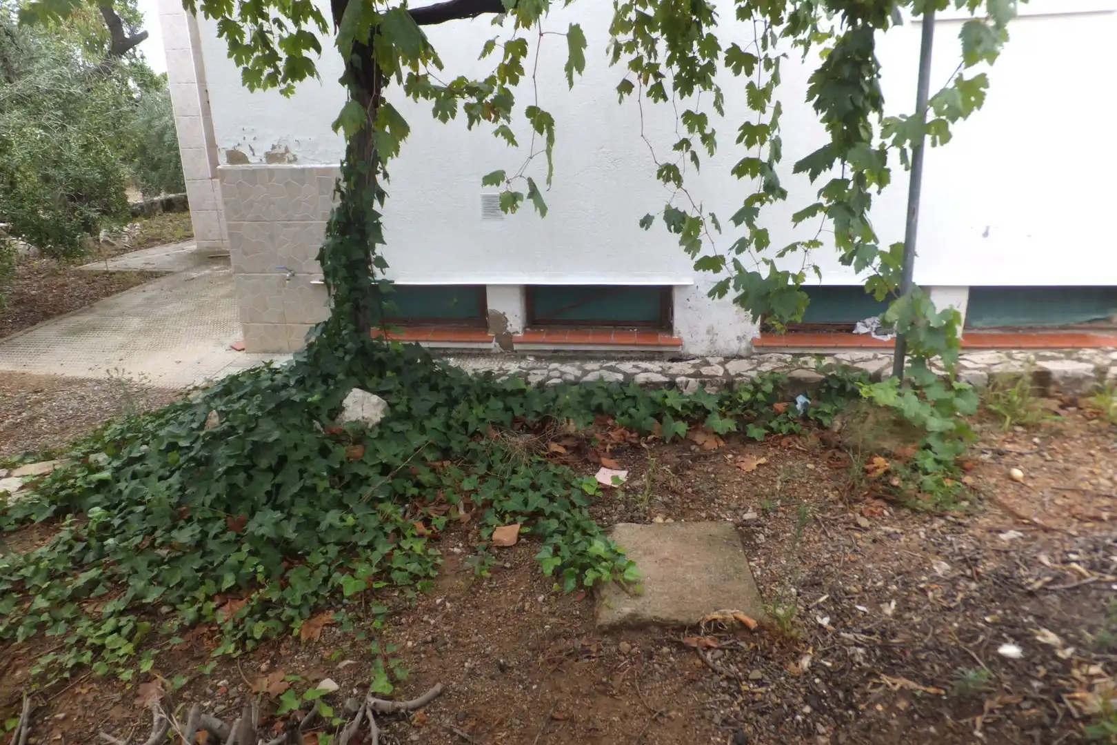 Terreno rústico en venta en Riudoms, imagen 10