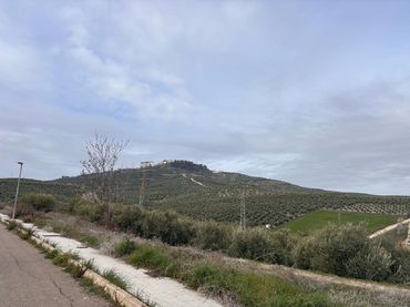 Terreni e lotti in vendita a Villanueva del Arzobispo