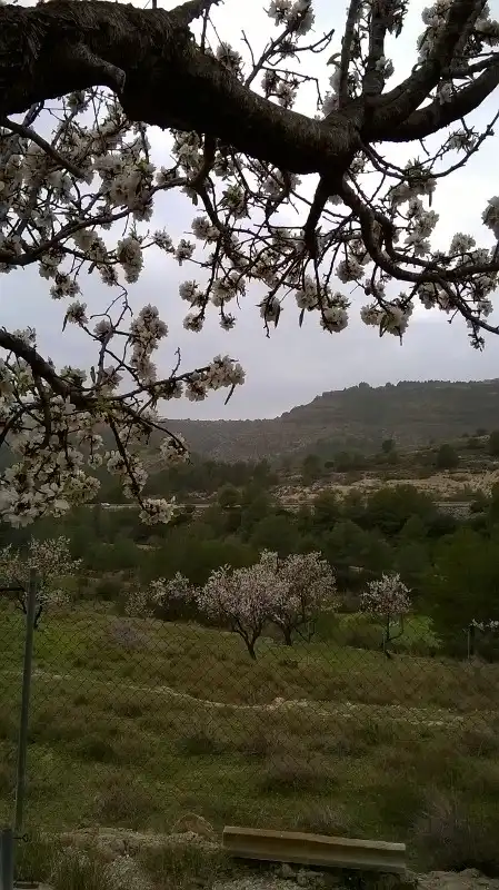 Wohnbaugrundstück zum Verkauf in Benissa pueblo, imagen 5