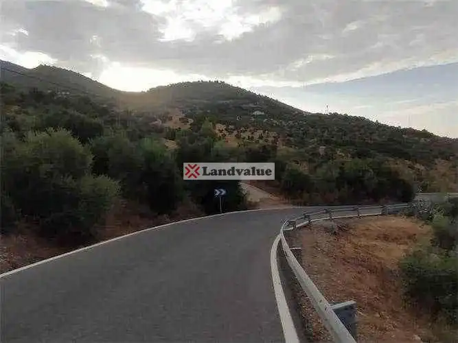Land for sale in Algodonales