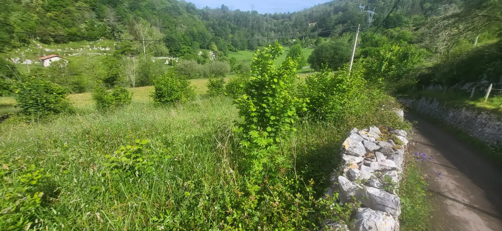 Country house zum Verkauf in Lugar Puertas, 2, Cabrales