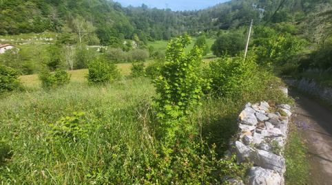 Foto 5 de Finca rústica en venda a Lugar Puertas, 2, Cabrales, Asturias