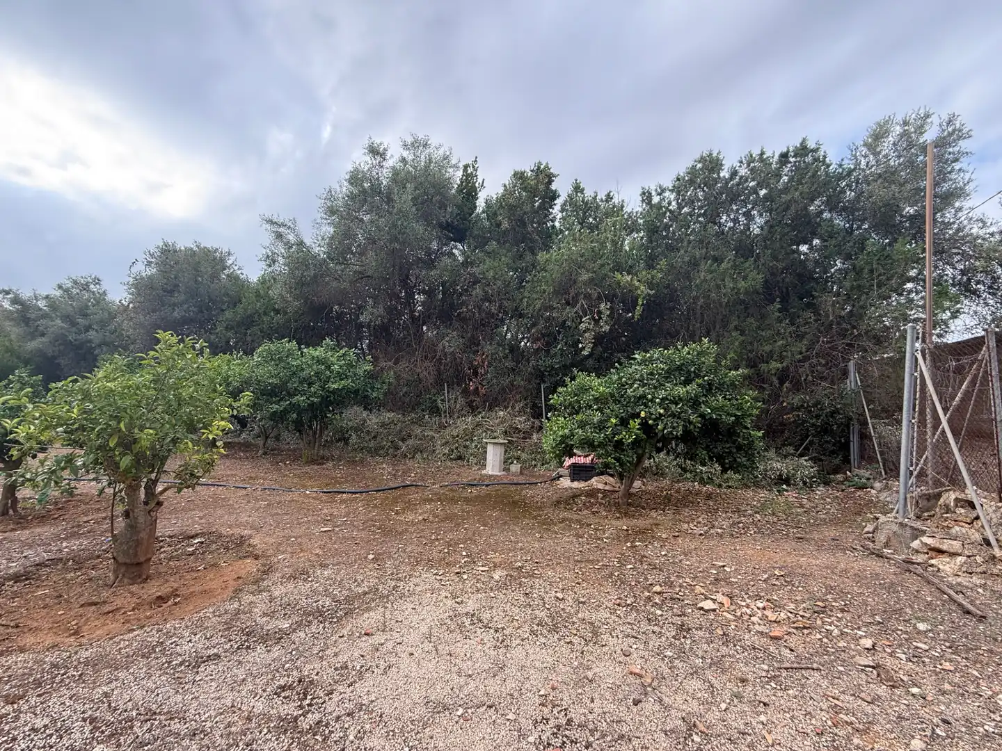 Terreno residenziale in vendita a Centro Urbano, imagen 3