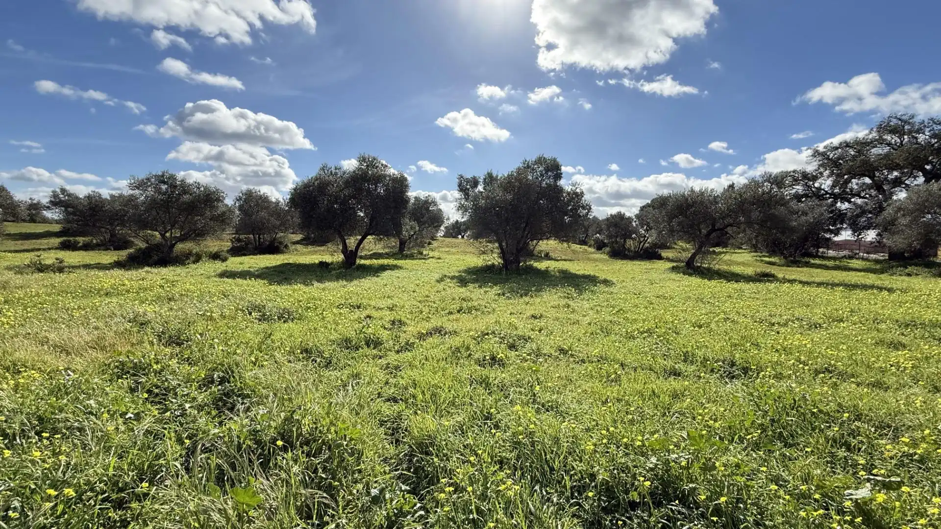 Country homes for sale in Gibraleón