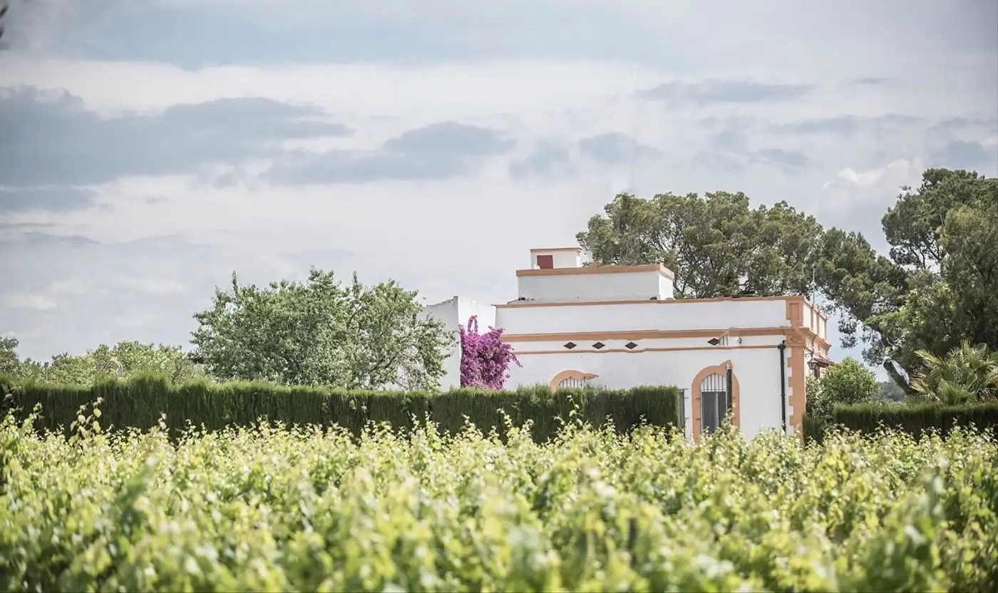 Haus mit Terrasse zum Verkauf in Carrer Sant Francesc, imagen 6