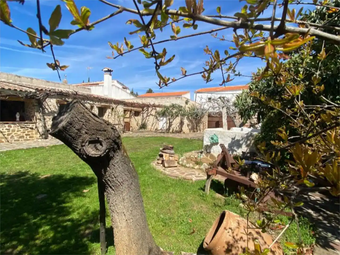 Jardín de Casa o chalet en venta en Viso del Marqués