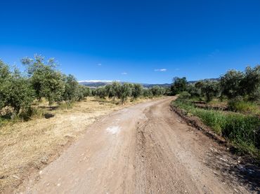 Terreno rustico in vendita a Polígono 3 Parcela 220 Arnique