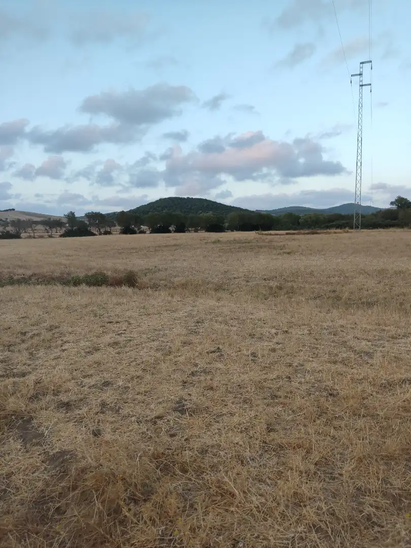 Land for sale in Vejer de la Frontera