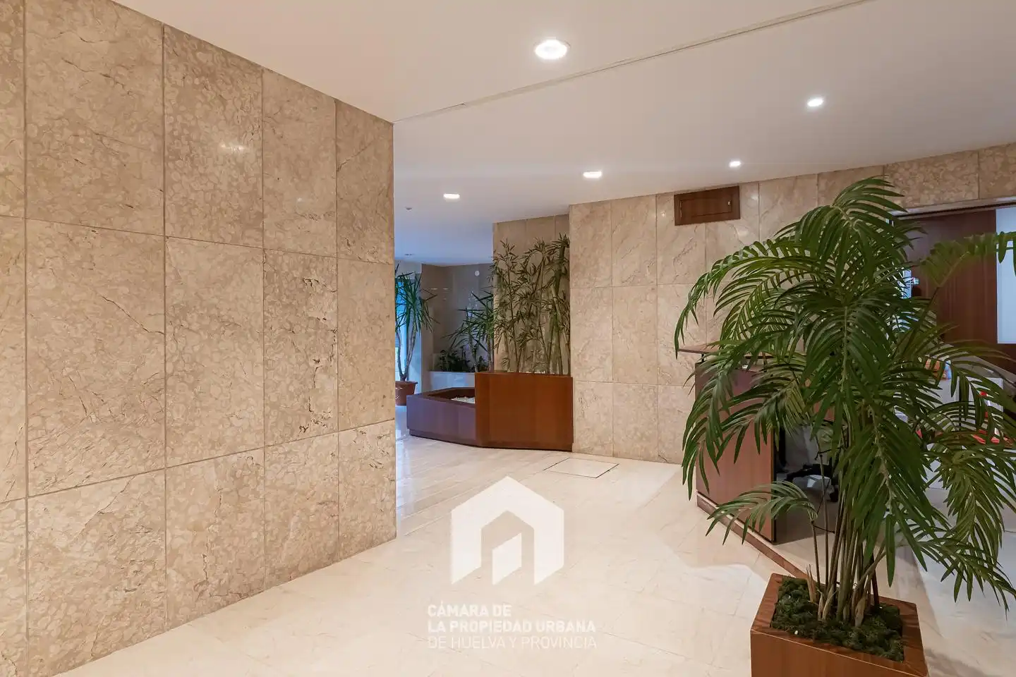 Flat for rent in Del Punto, Centro