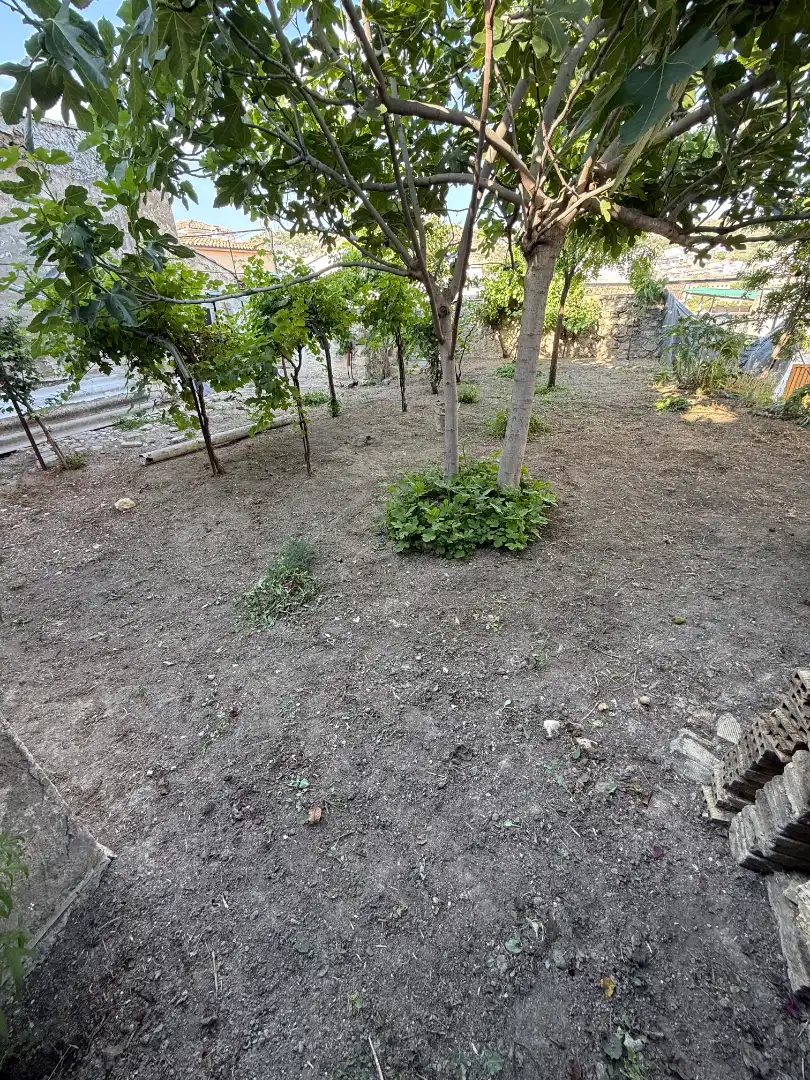 House with garden for sale in Calle Abad Palomino, imagen 12
