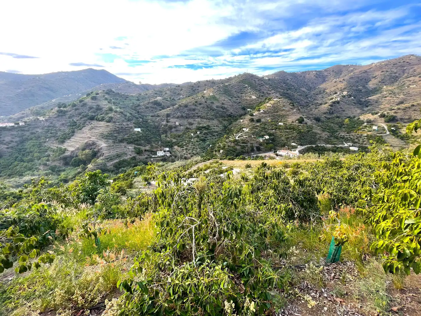 Casa rústica en venta en Sayalonga, imagen 5