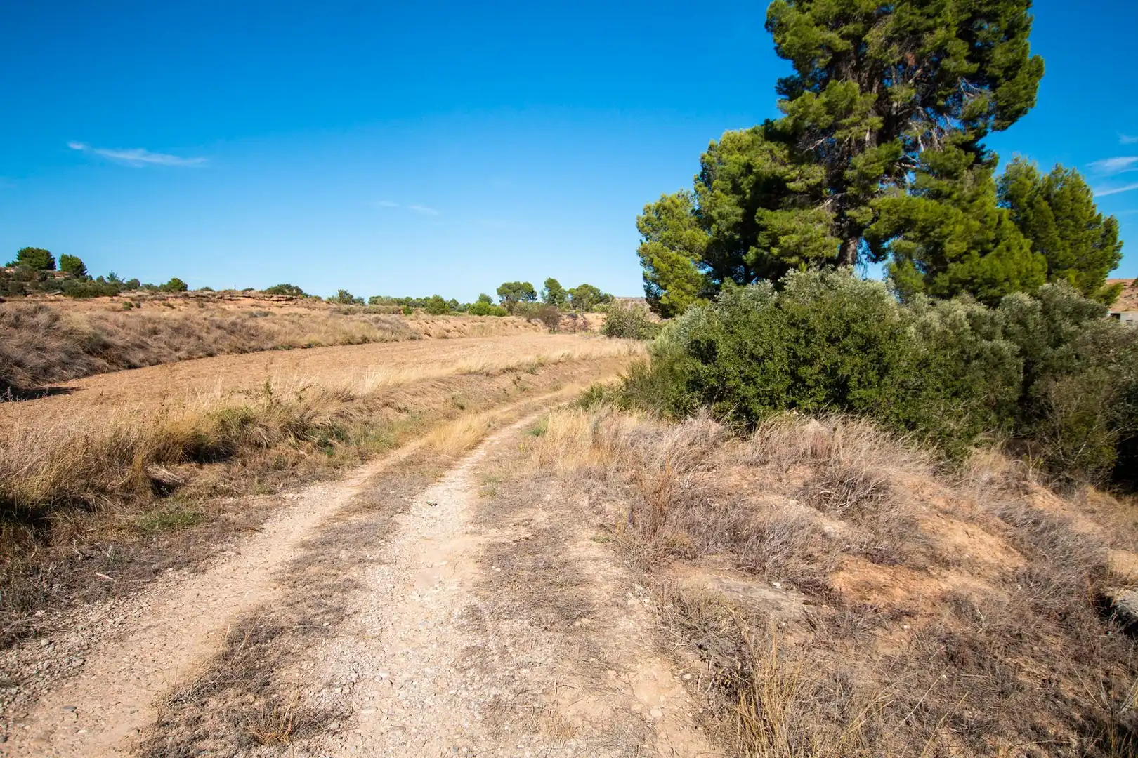 Terreno en venta en Caspe
