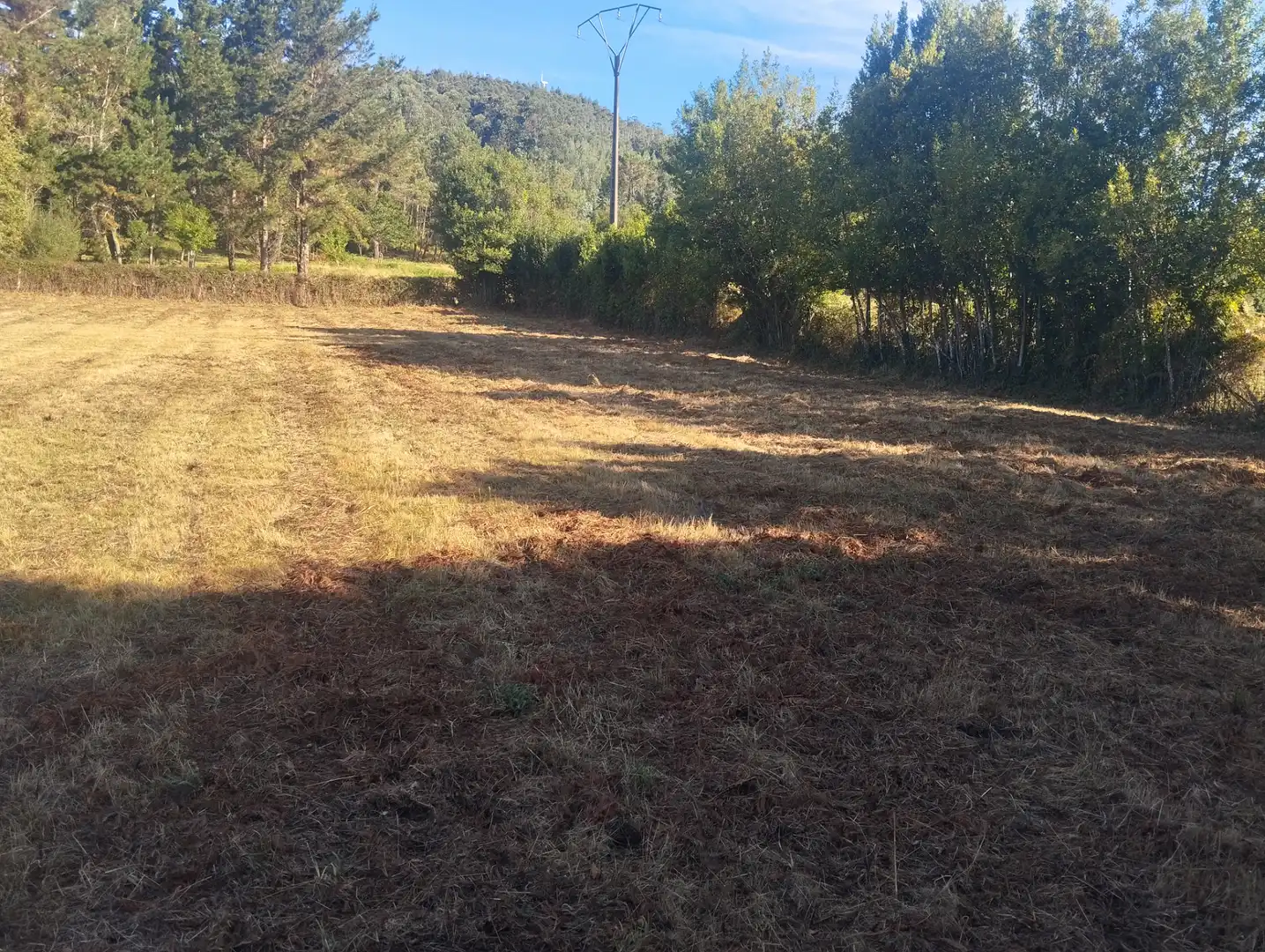 Casa o chalet en venta en Ourol con Jardín privado