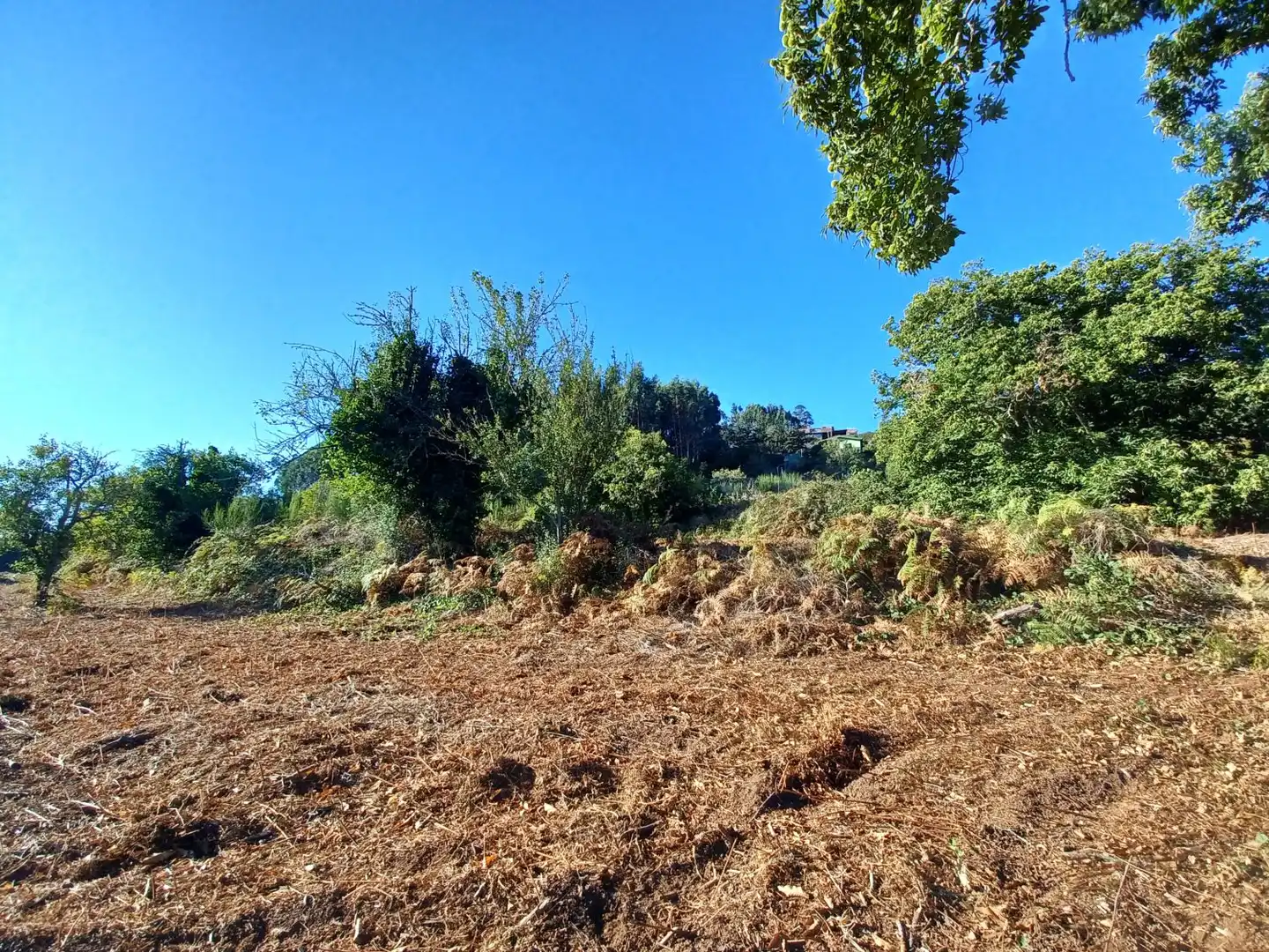 Terrenys i solars en venda a La Esperanza - Llano del Moro, imagen 2