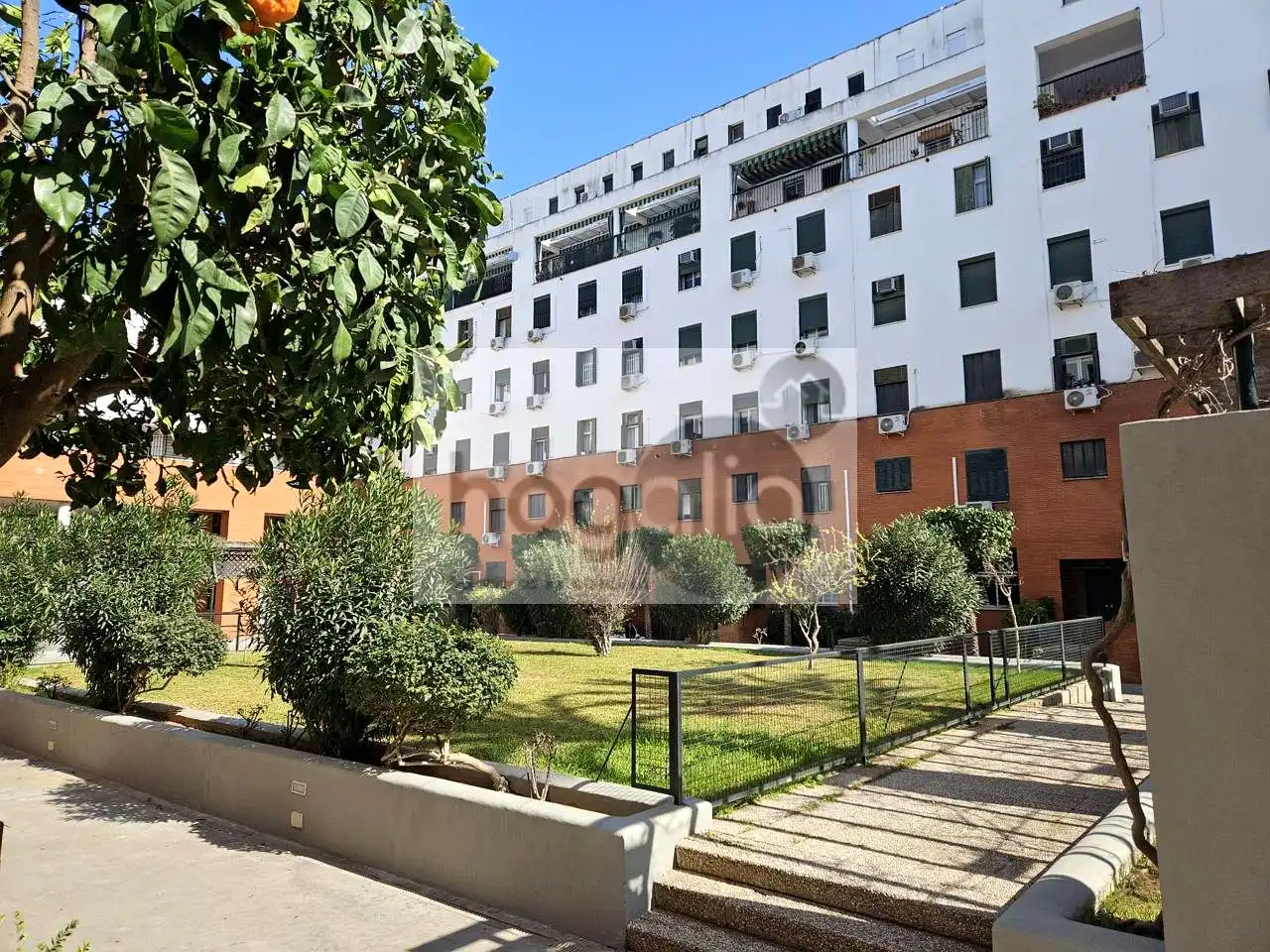 Duplexes for rent in Pino Montano - Consolación