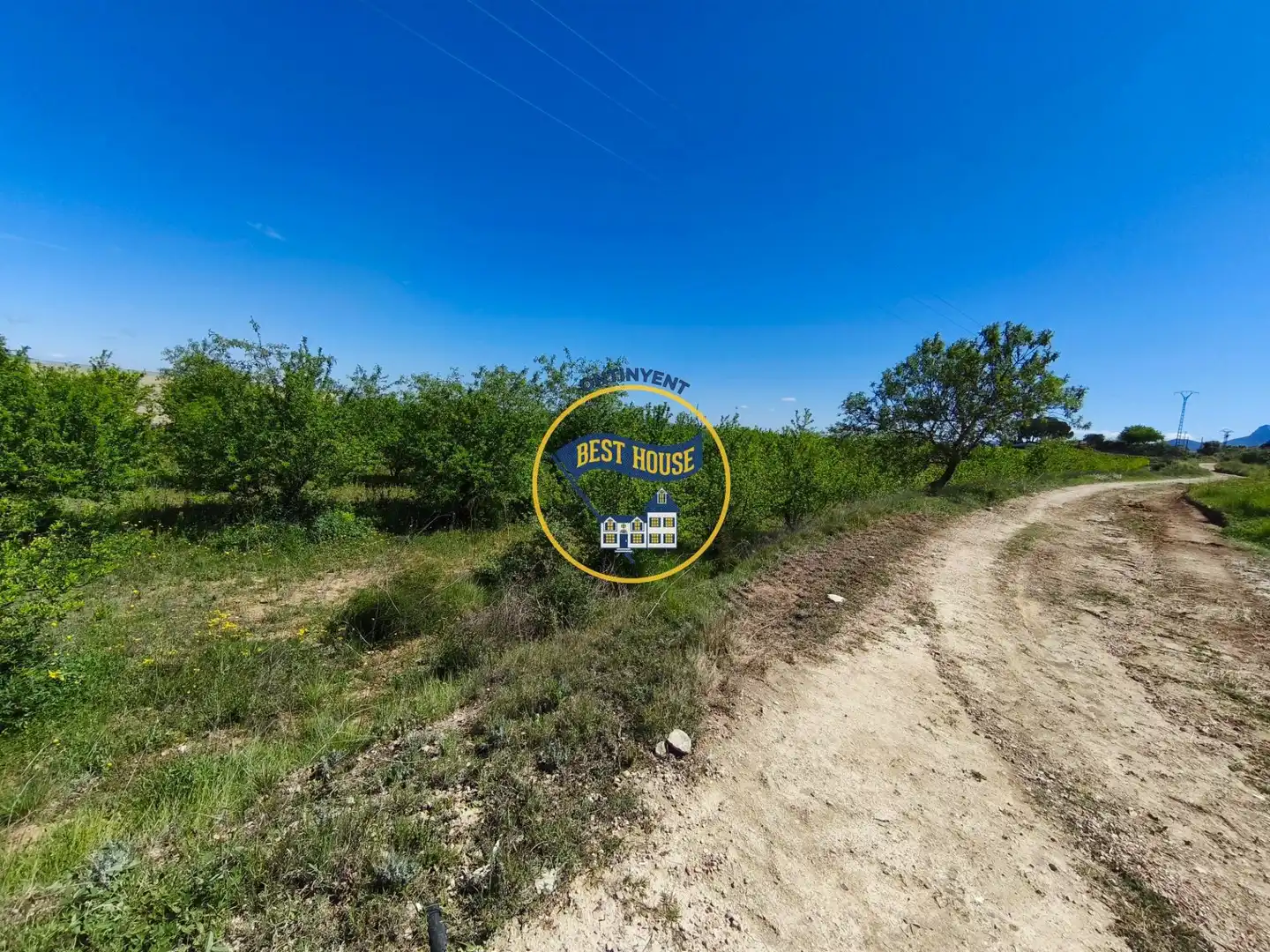 Terreny rústic en venda a Albaida, imagen 4