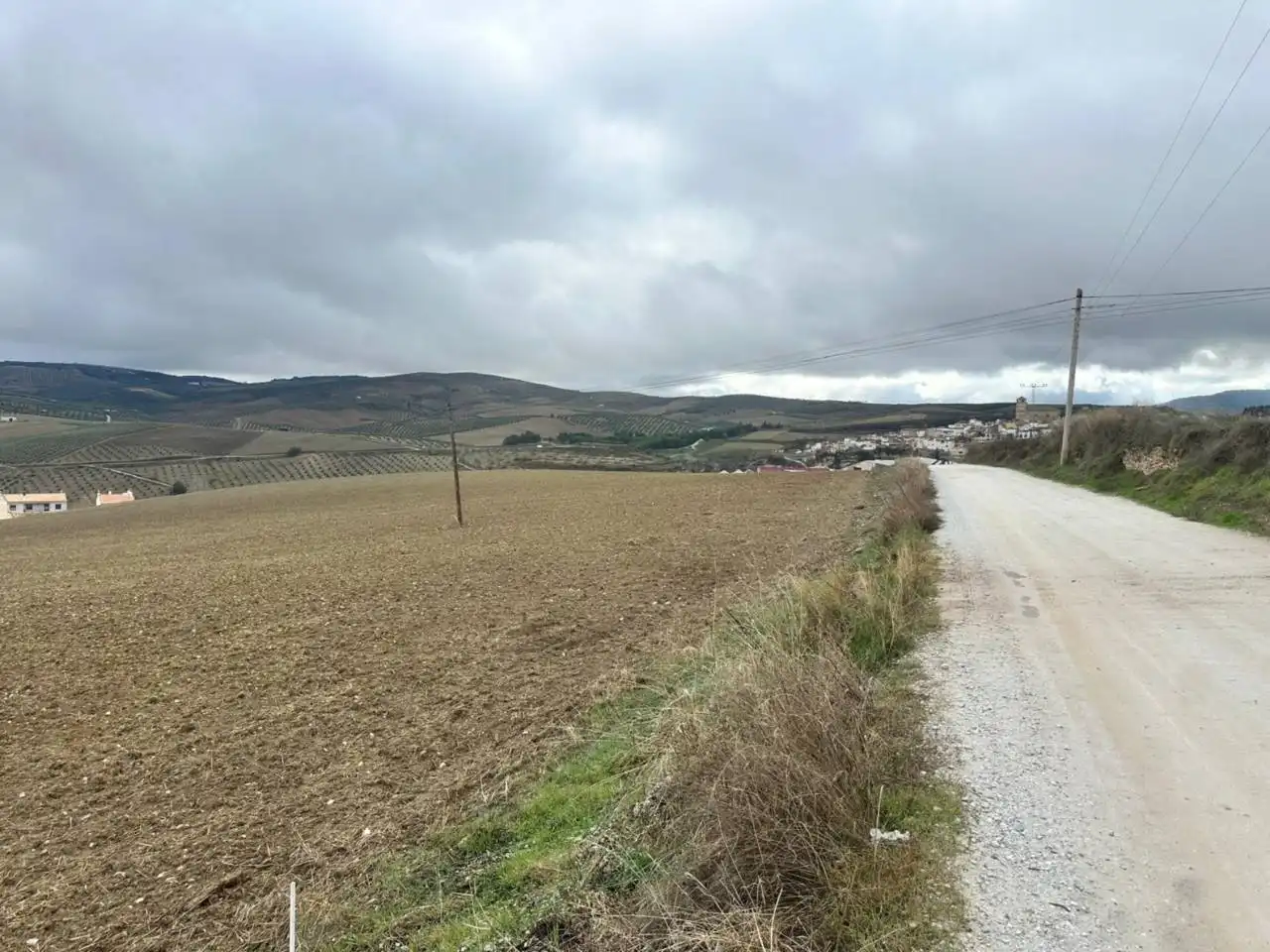 Terreni e lotti in vendita a Alhama de Granada, imagen 11