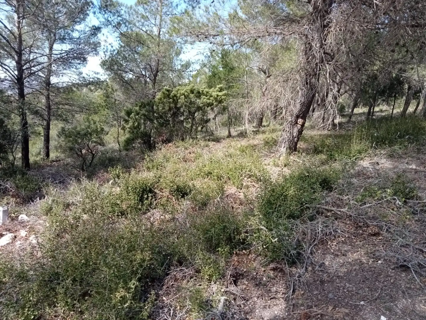 Residential land for sale in Calle Nueva Sierra CT, imagen 3