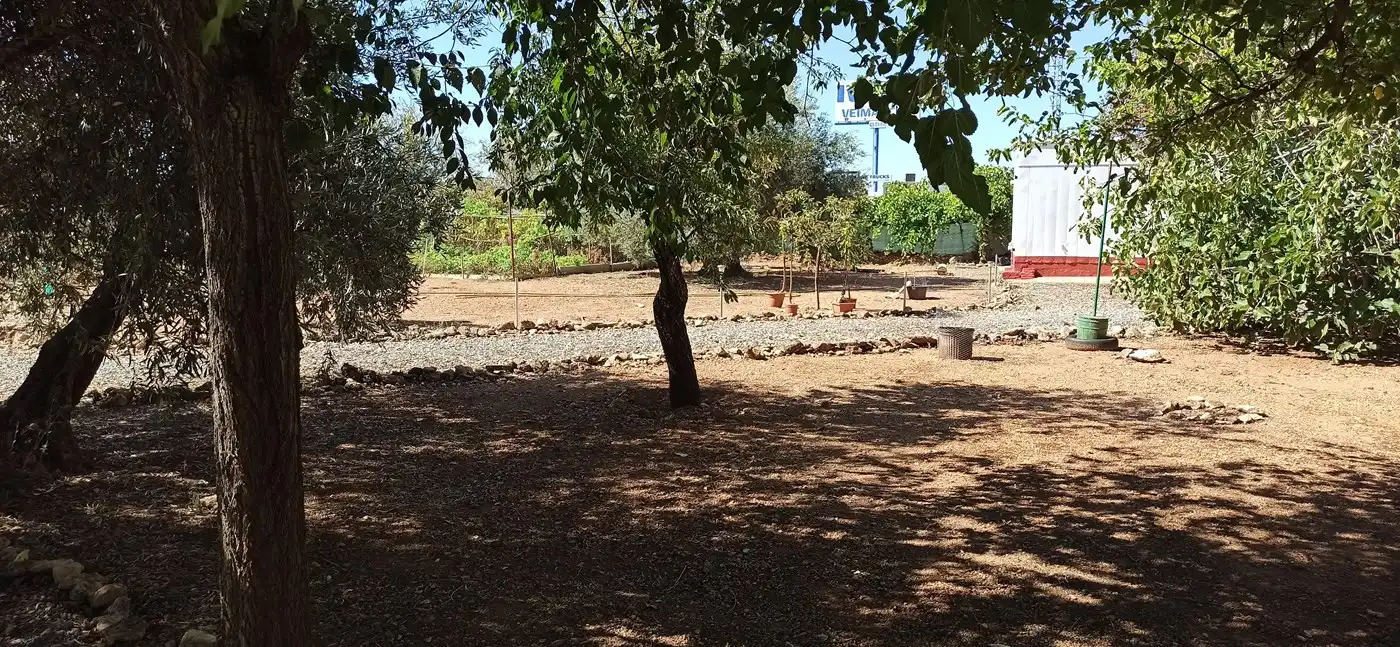 Xalet amb piscina en venda a Miguelturra, imagen 55