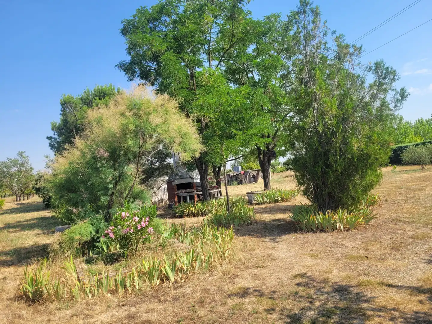 Jardín de Casa o chalet en venta en Matapozuelos con Calefacción y Jardín privado