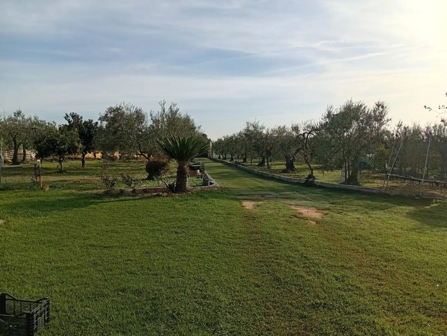 Terreni e lotti in vendita a Villanueva del Ariscal, imagen 7