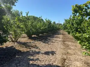Terreno rustico in vendita a Avinguda de Reus 10, imagen 10