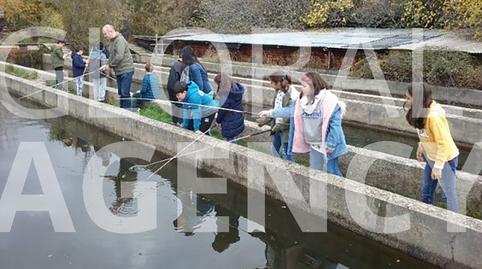 Foto 5 de Finca rústica en venta en Manzanares El Real, Madrid