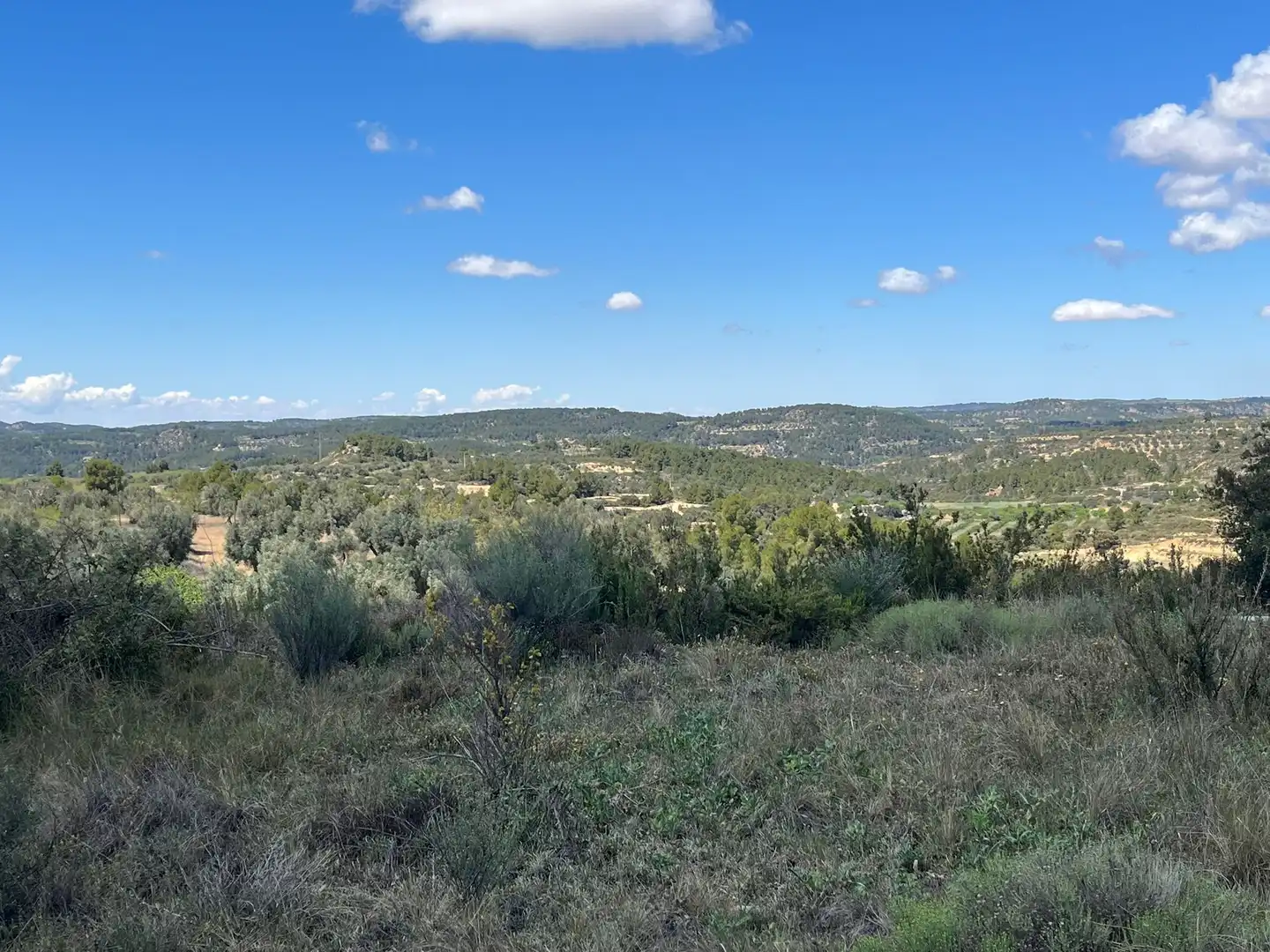 Terreni e lotti in vendita a Calaceite