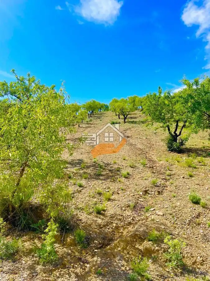 Casa rústica en venda a Vélez-Rubio, imagen 11