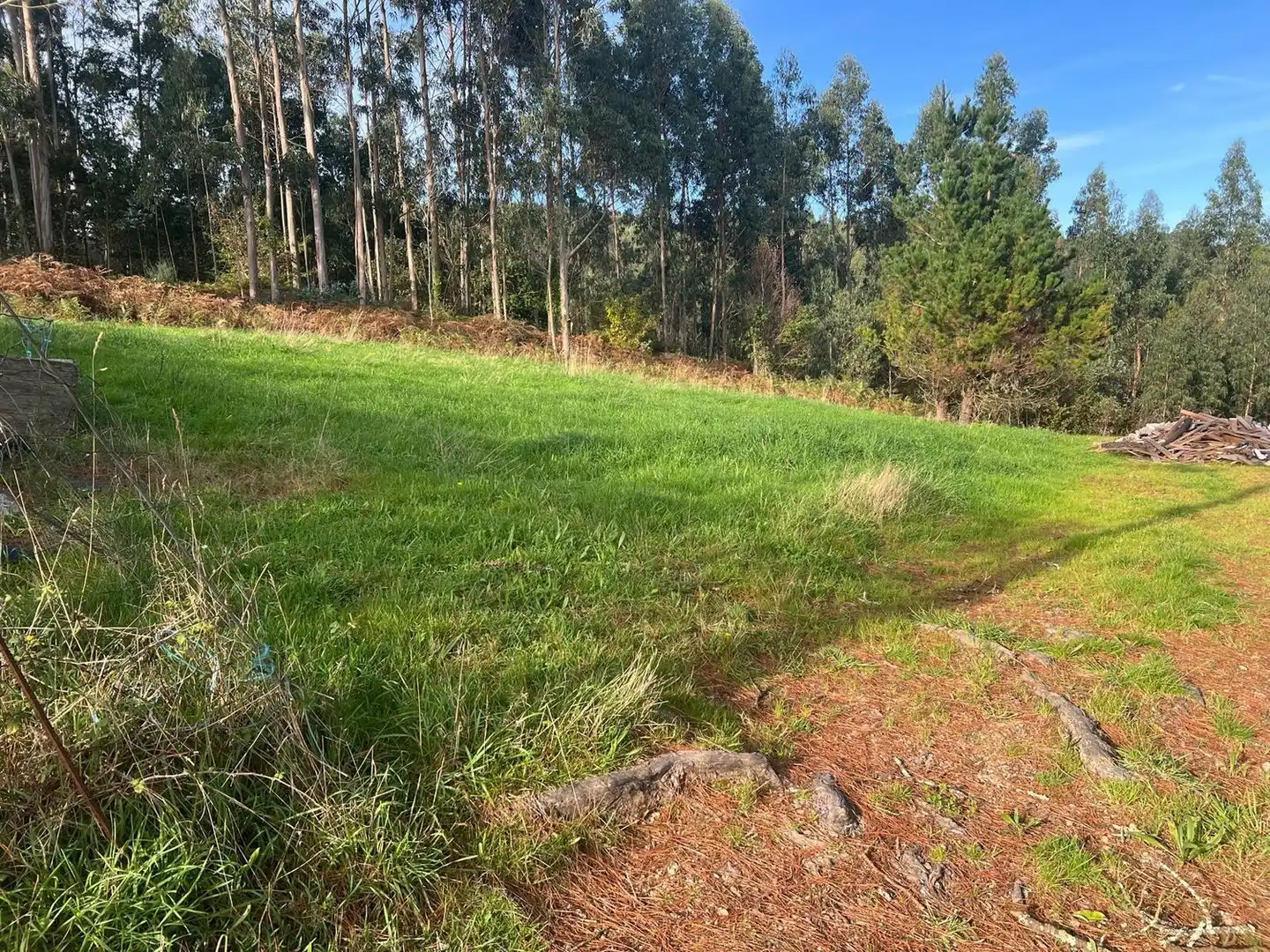 Casa rústica en venta en Lugar Silvalonga, imagen 19